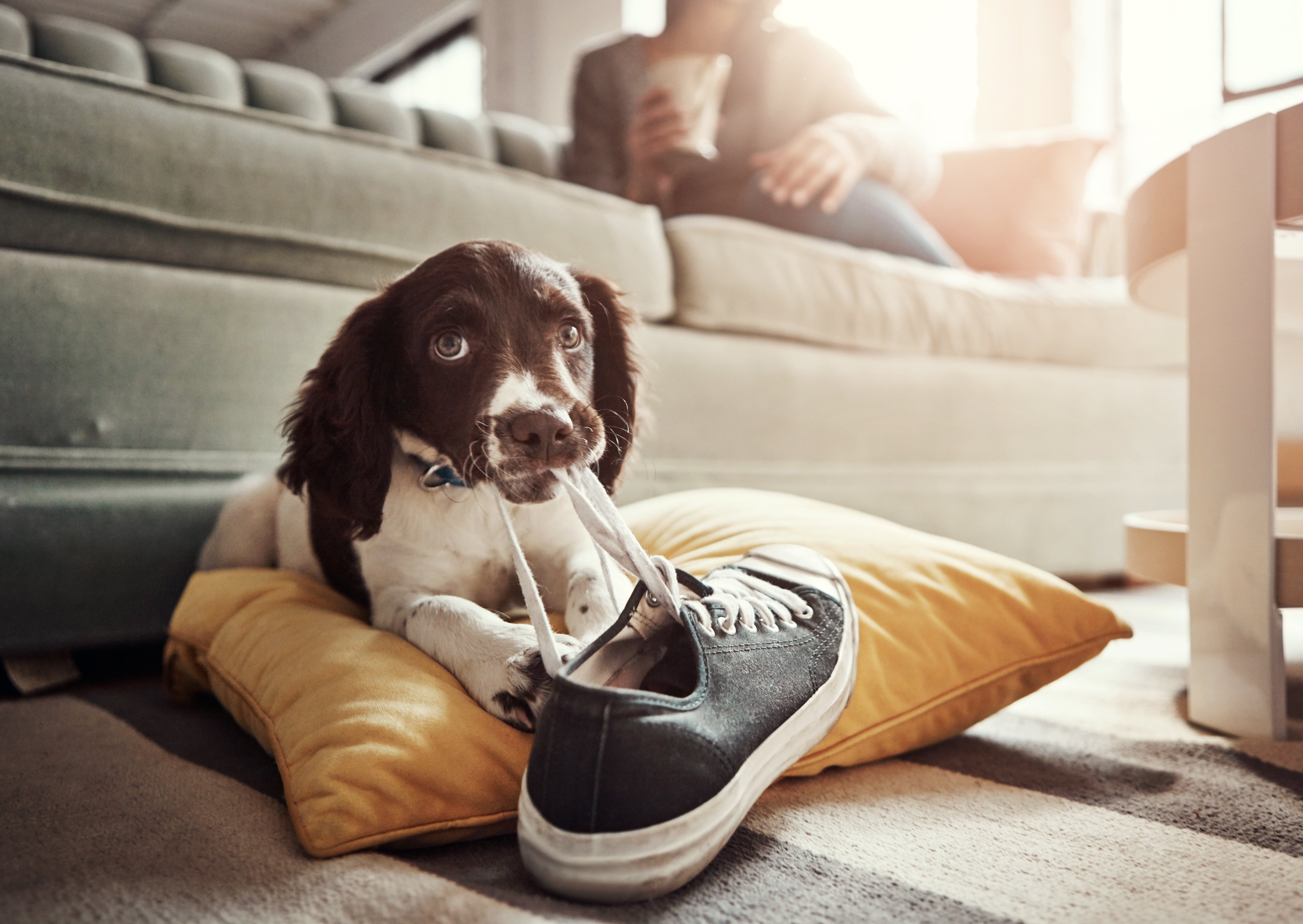 iStock-2160058640